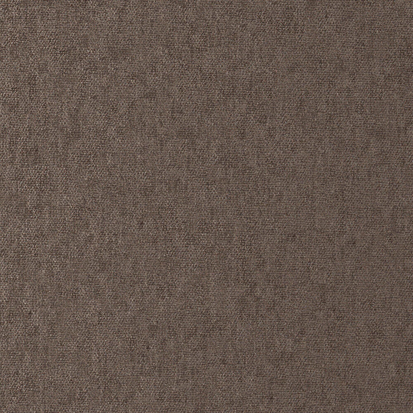 Conte | # 914 Bison - Maxwell Fabric