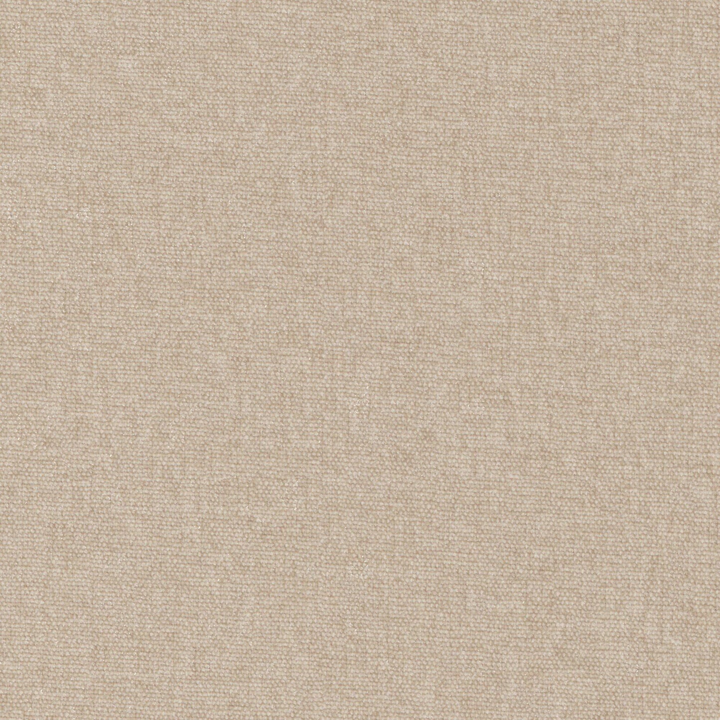 Conte | # 929 Sesame - Maxwell Fabric