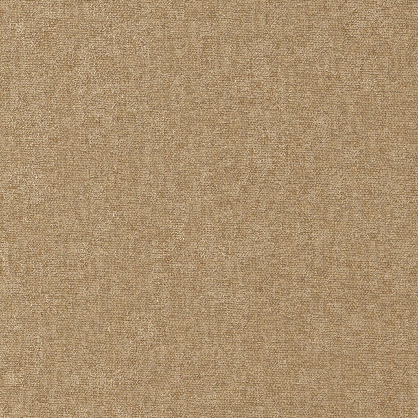 Conte | # 951 Buff - Maxwell Fabric