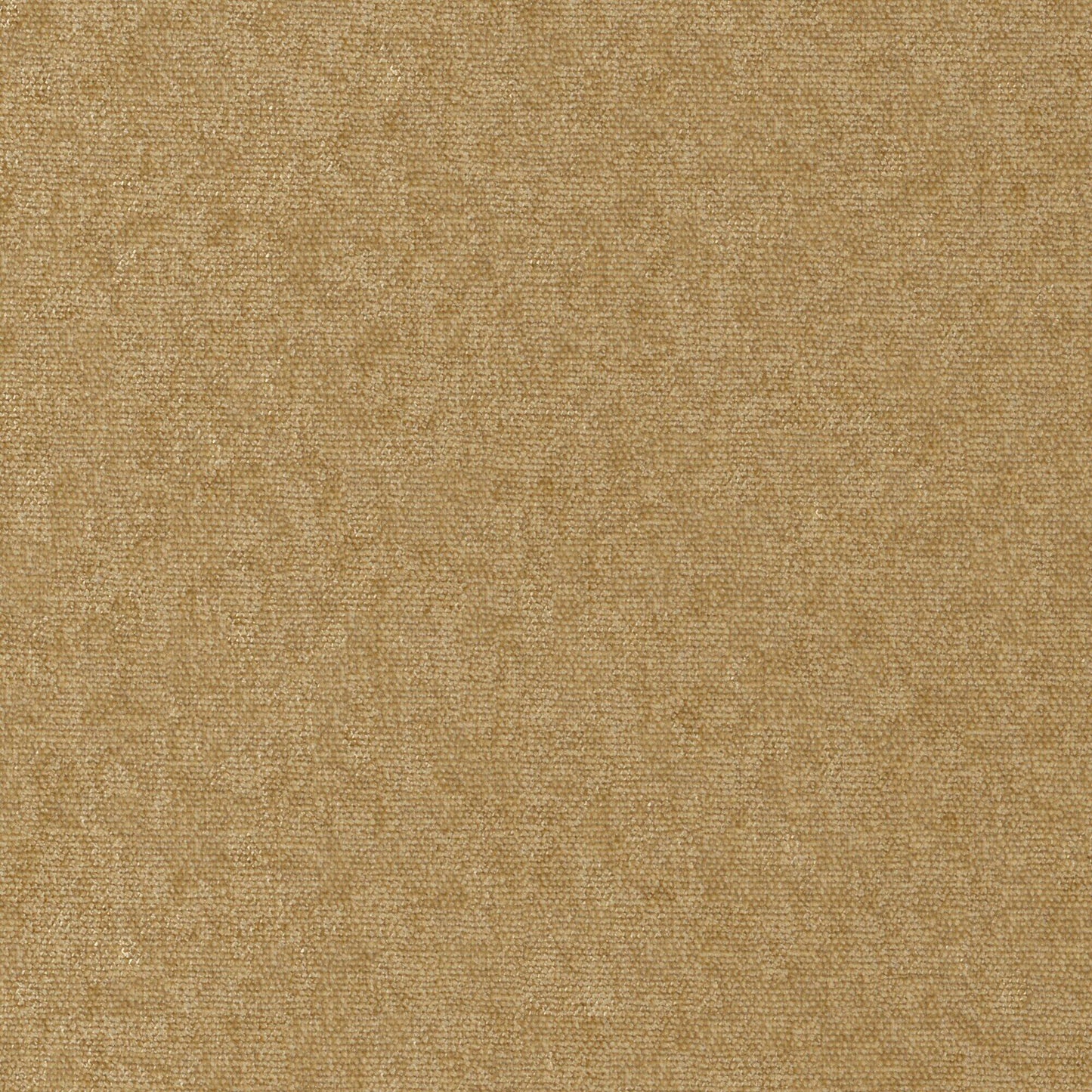 Conte | # 952 Antelope - Maxwell Fabric