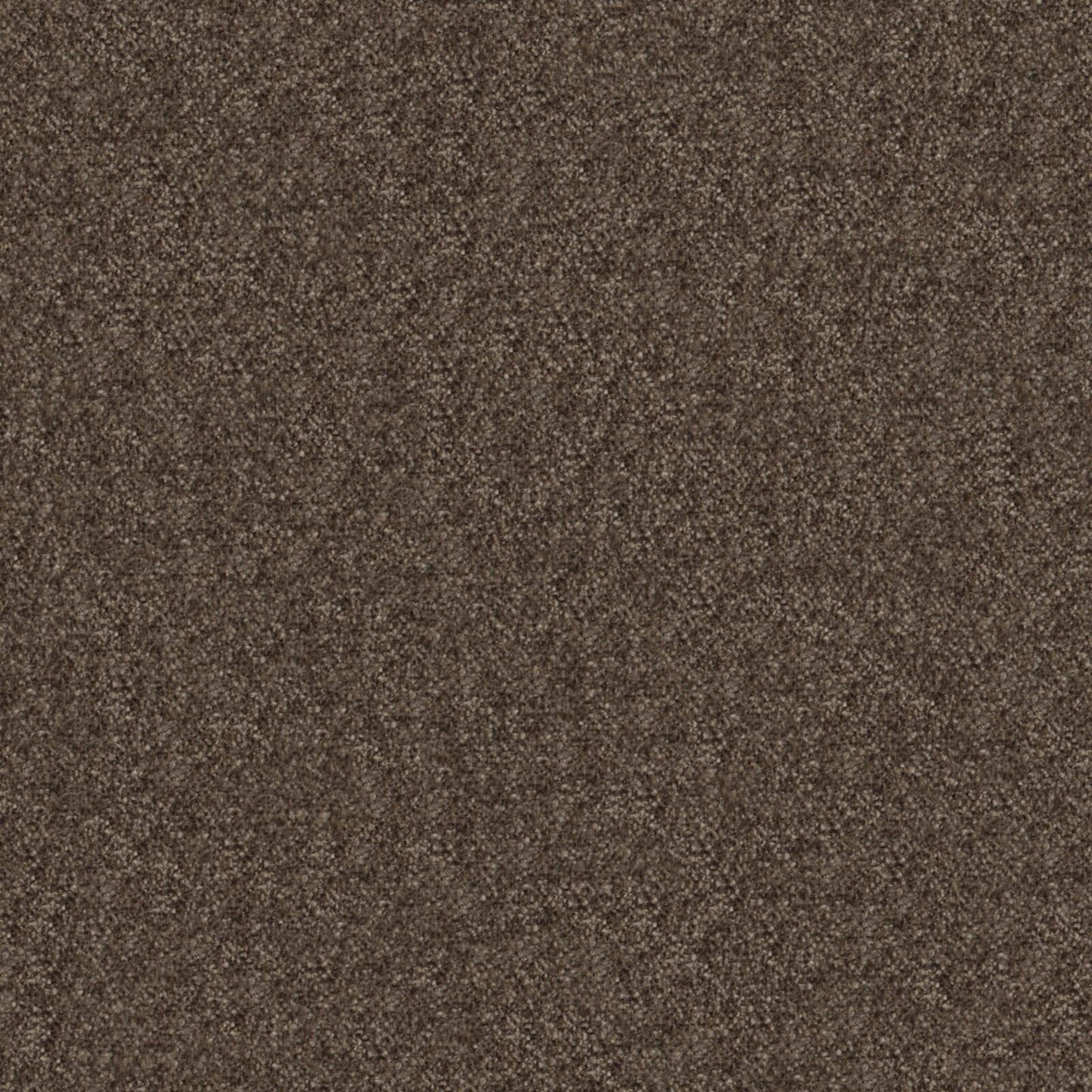 Calabria | # 442 Beaver - Maxwell Fabric