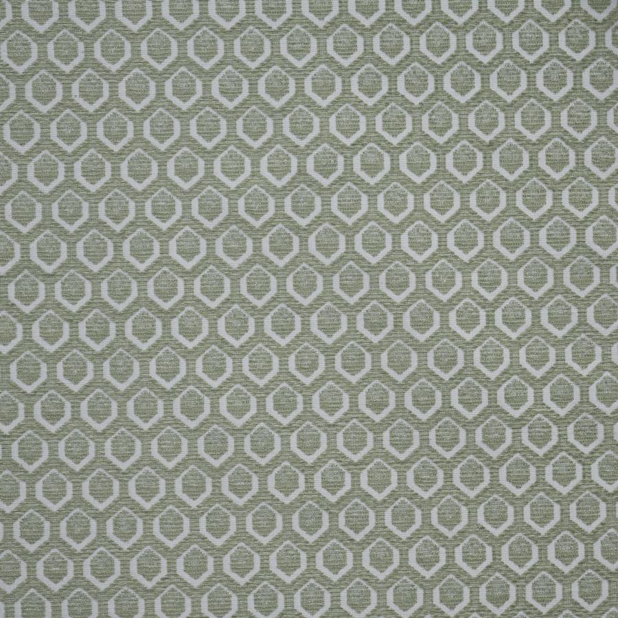 Purchase Maxwell Fabric - Cadboro, # 916 Wintergreen