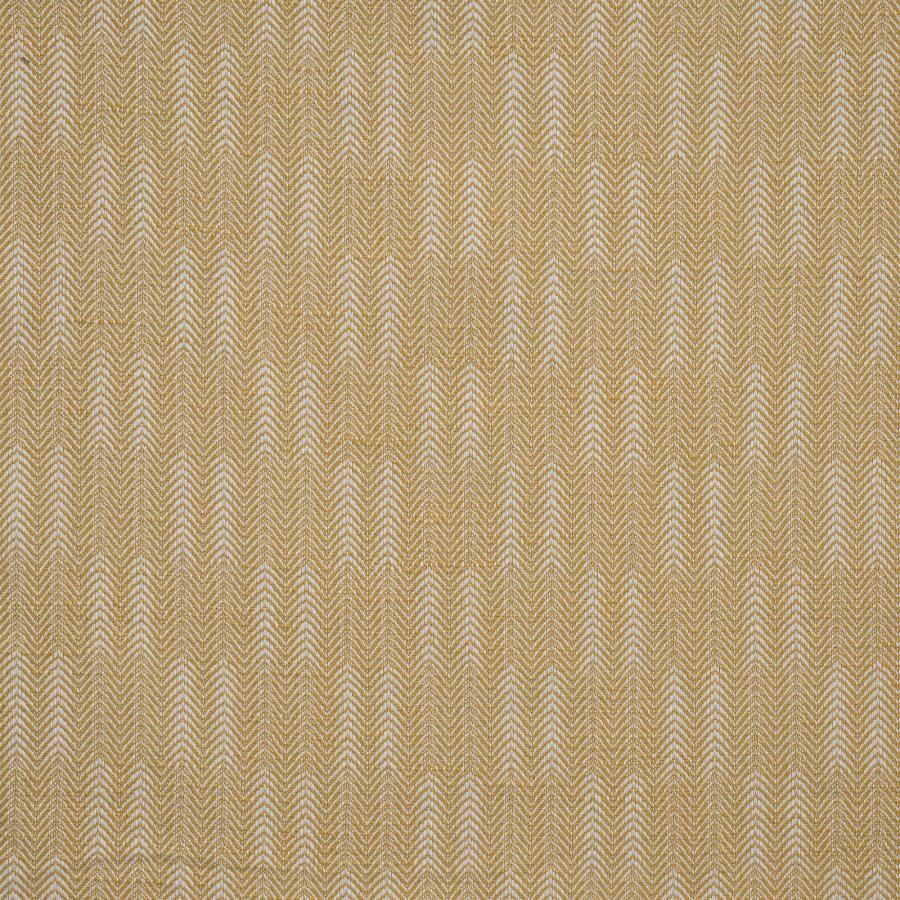 Purchase Maxwell Fabric - Conifer, # 707 Butterscotch