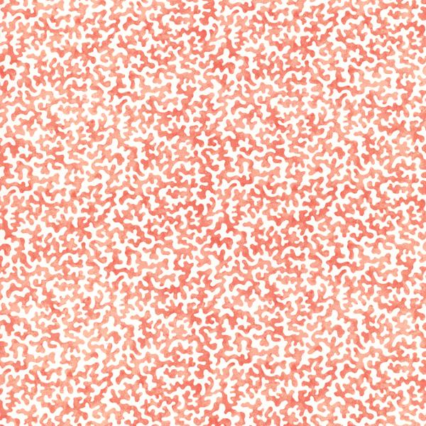 Sample - Coralcoast-712 | Coralcoast, Small Scale Prints - Kravet Basics Fabric - Coralcoast.712.0