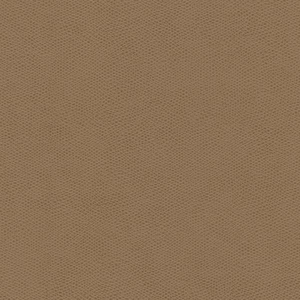 Sample - Cured.11.0 | Kravet Design, Faux Leather Iv - Kravet Design Fabric