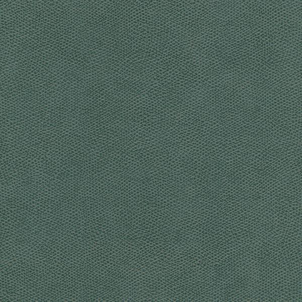 Sample - Cured.35.0 | Kravet Design, Faux Leather Iv - Kravet Design Fabric