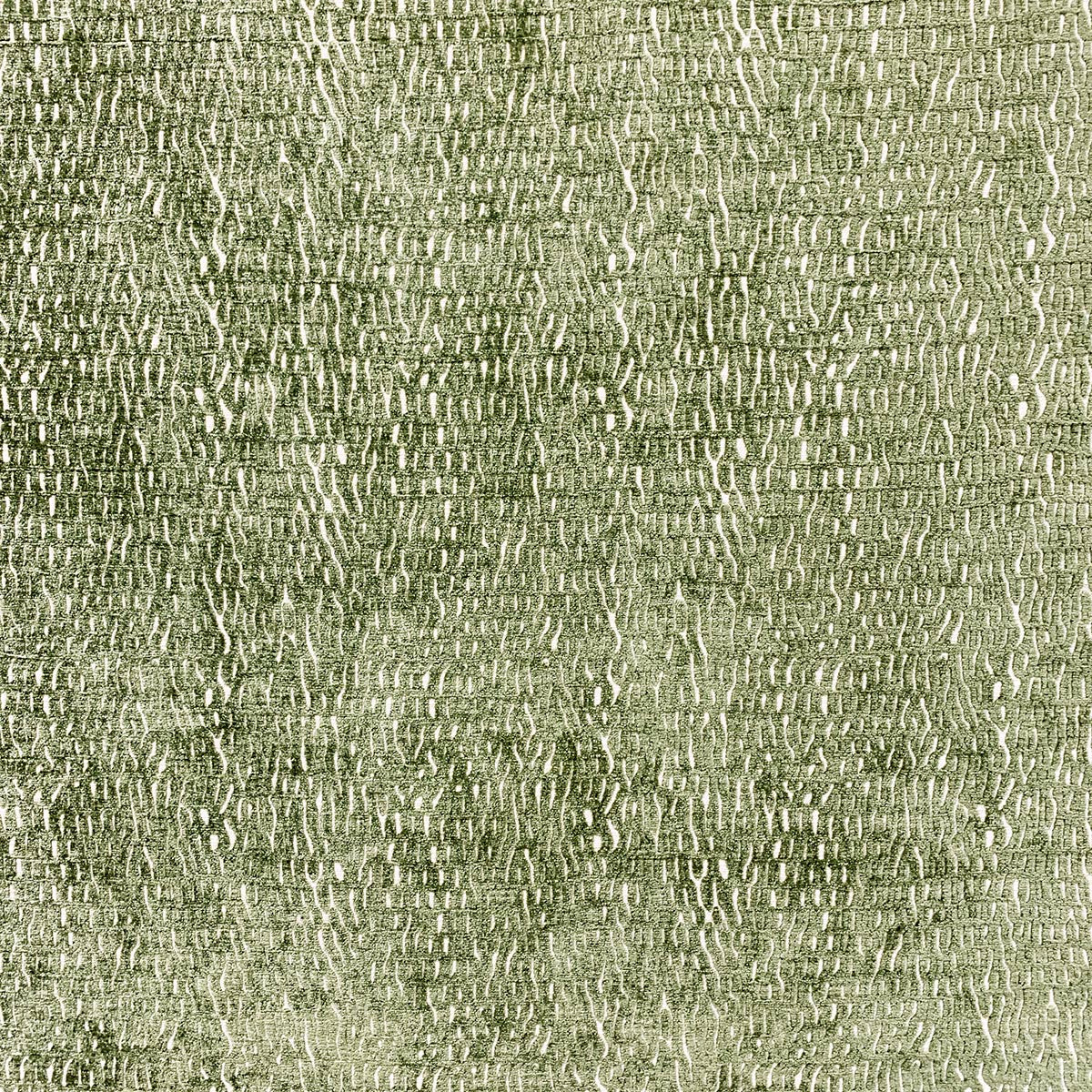 10387 Current Fern
