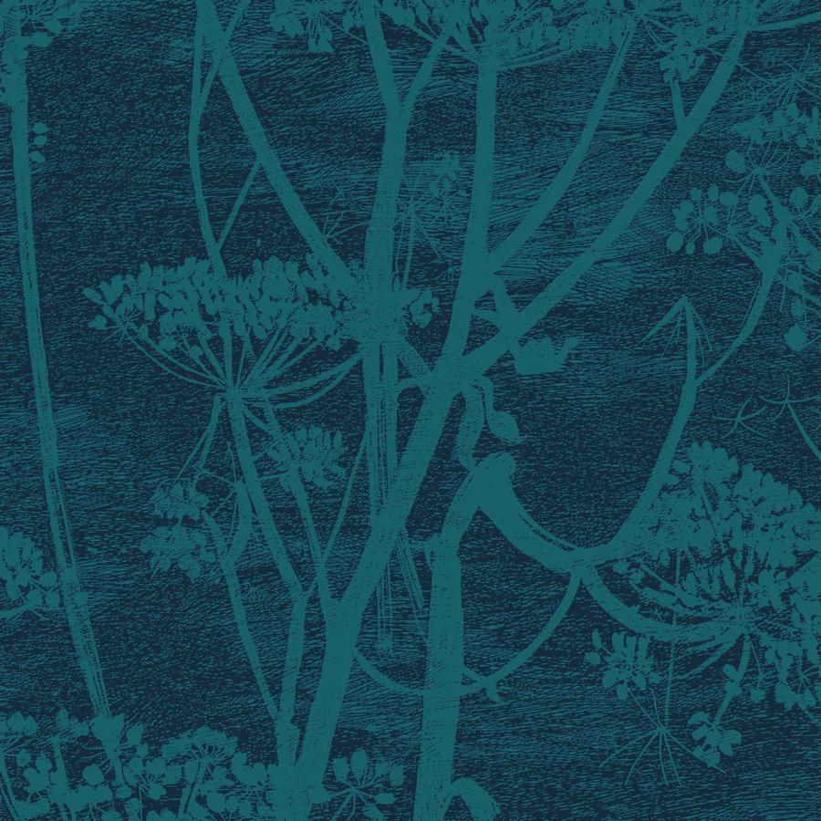 Sample F111-5015 Cow Parsley Petrol and Ink by Cole and Son Fabric
