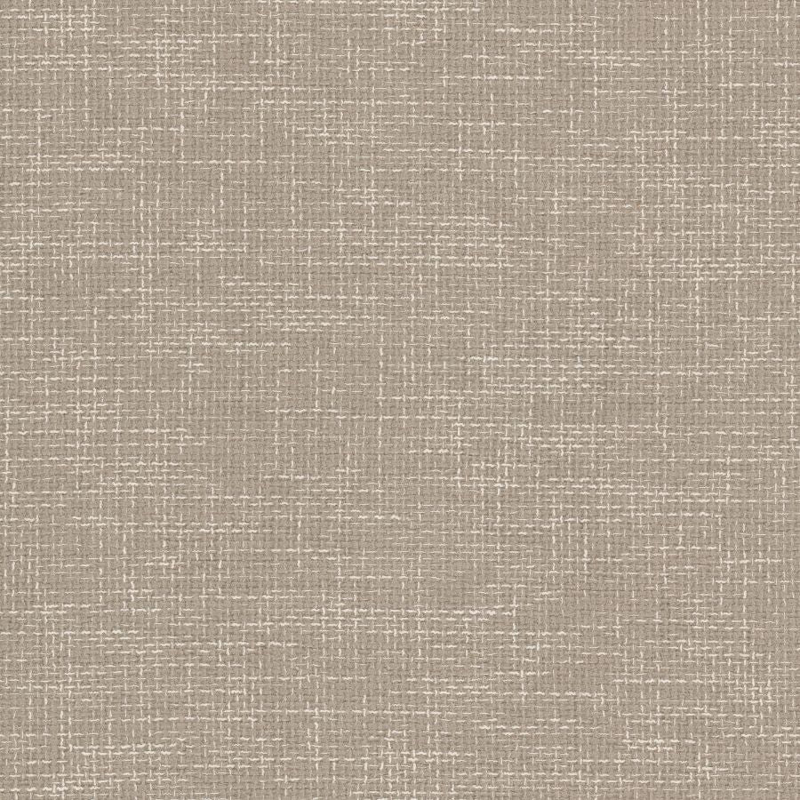 Purchase Stout Fabric SKU Daze 1 Sandune