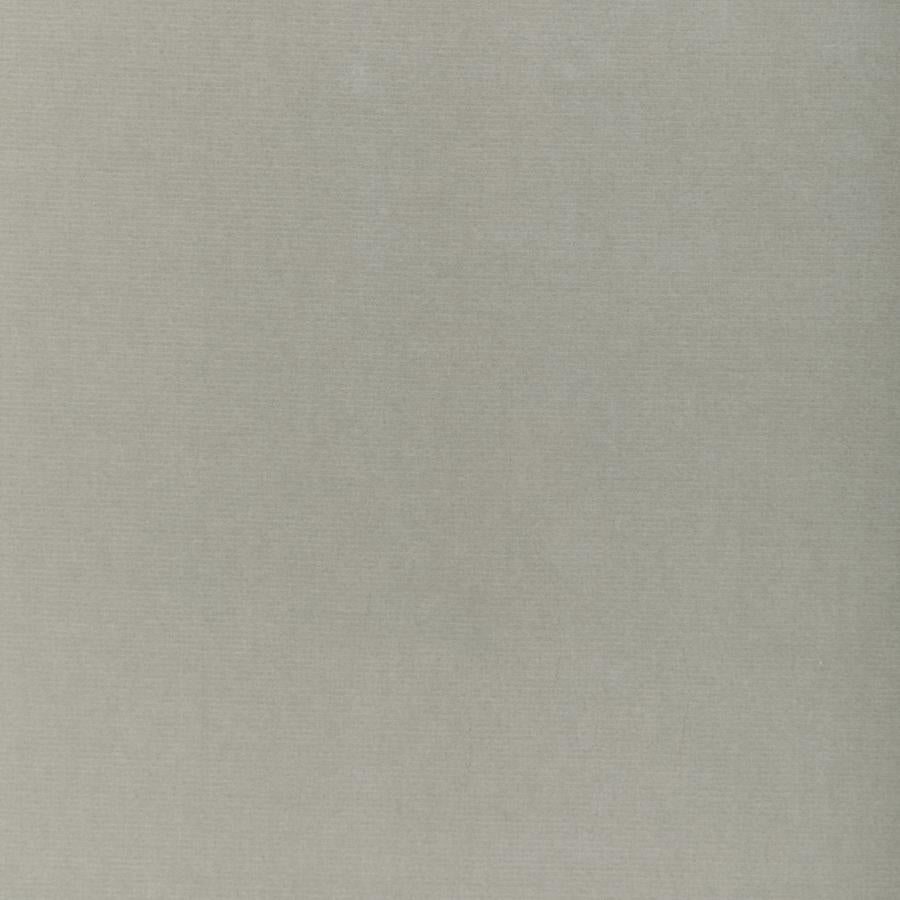 Purchase Dg-10158.1101.0 Covet, Oyster - Donghia Fabric