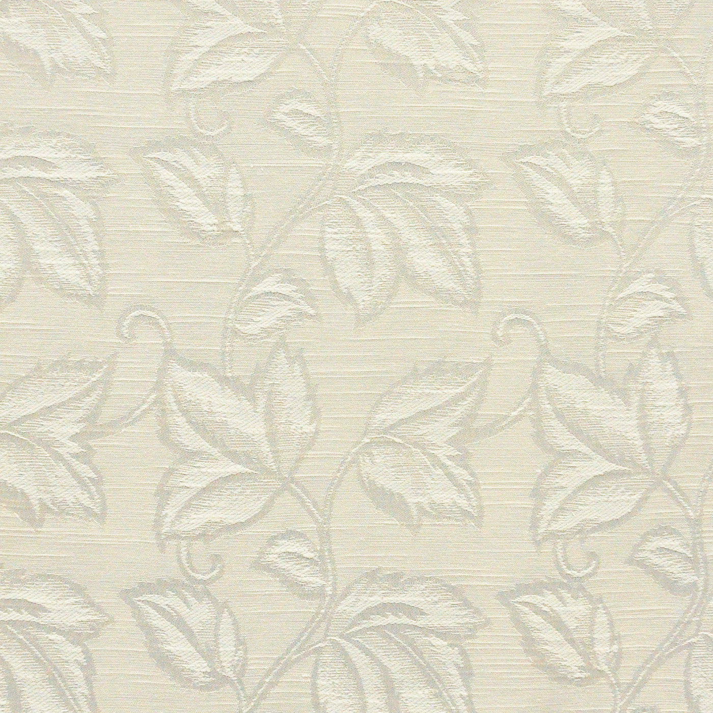 Dolma | # 206 Lace - Maxwell Fabric