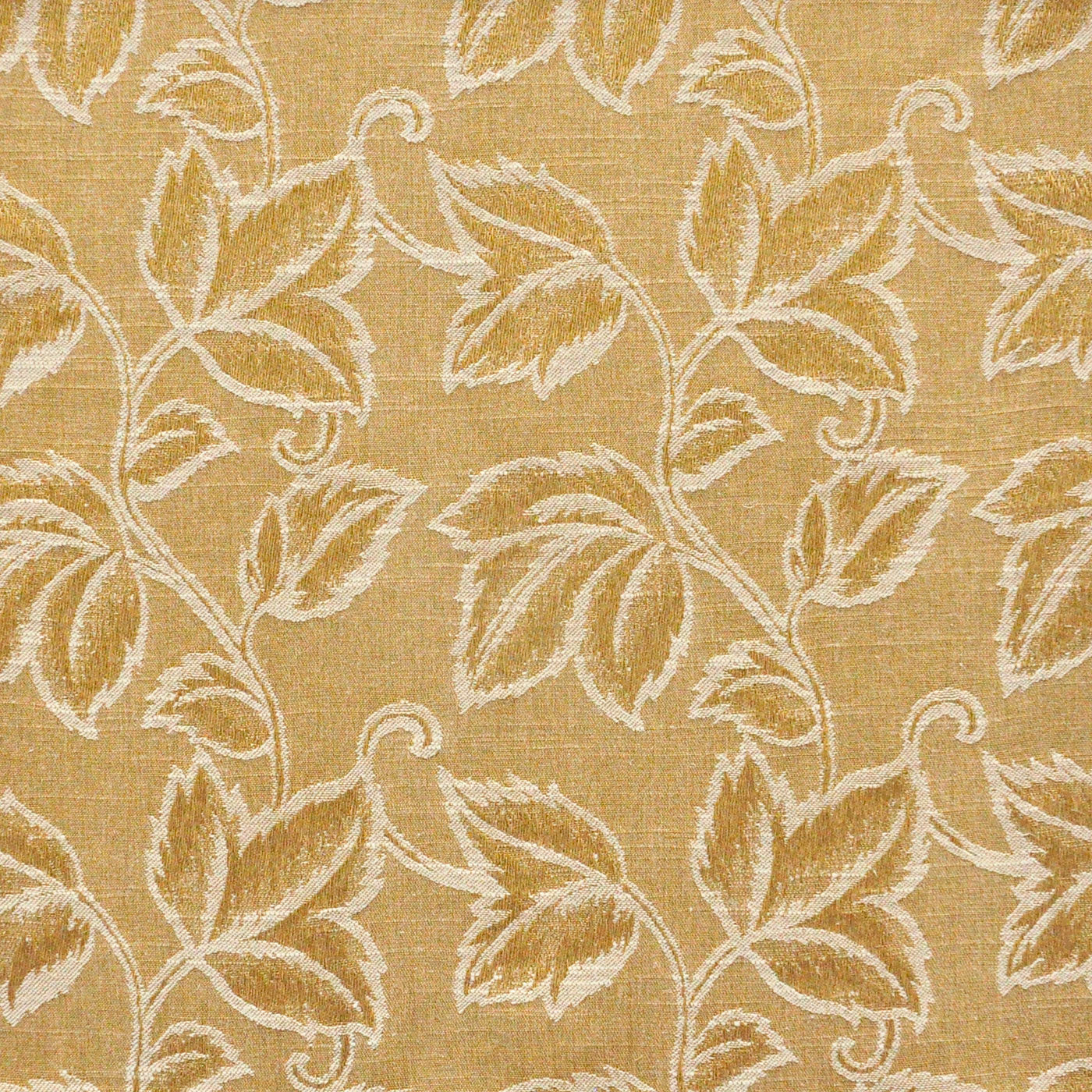 Dolma | # 610 Honey - Maxwell Fabric