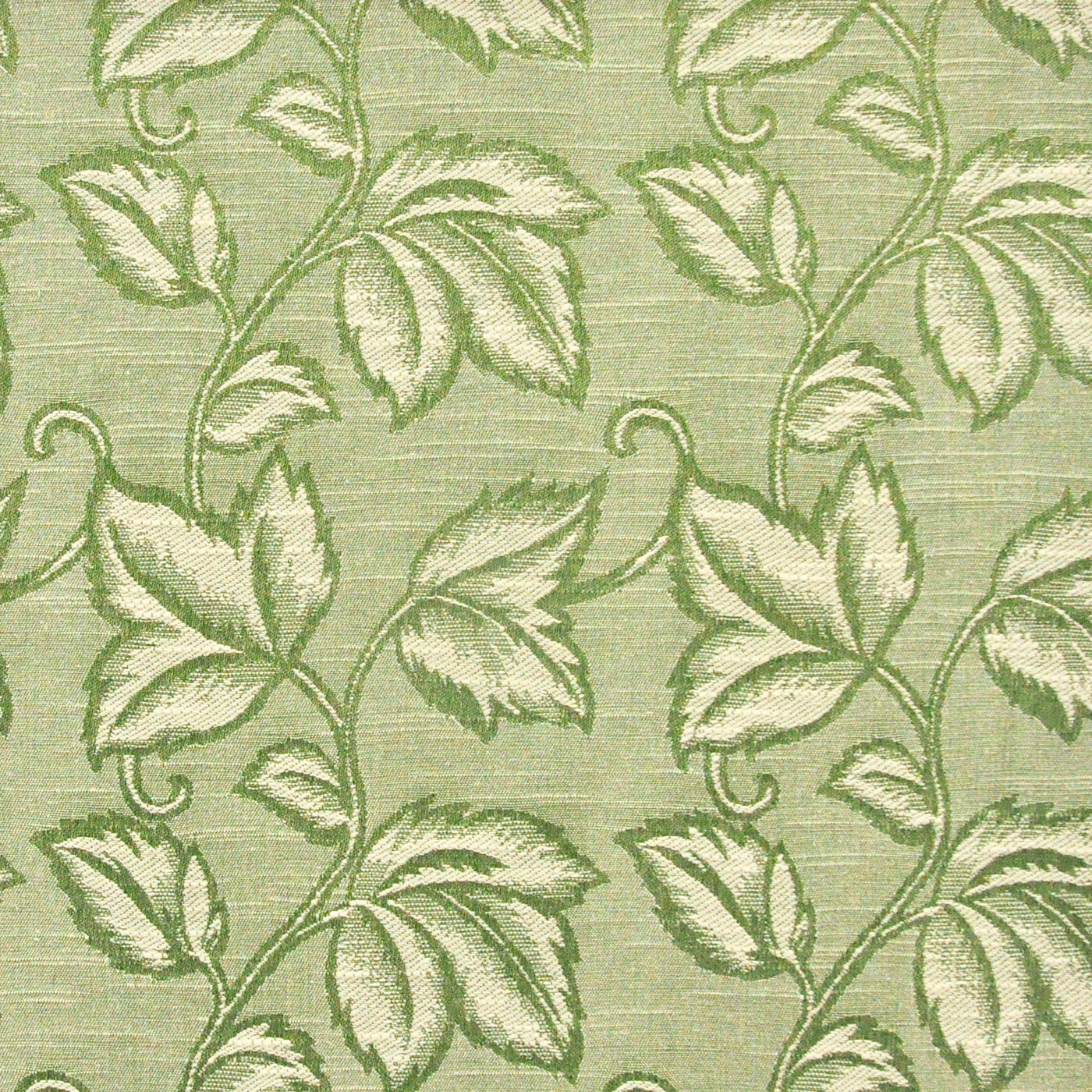 Dolma | # 622 Sprig - Maxwell Fabric