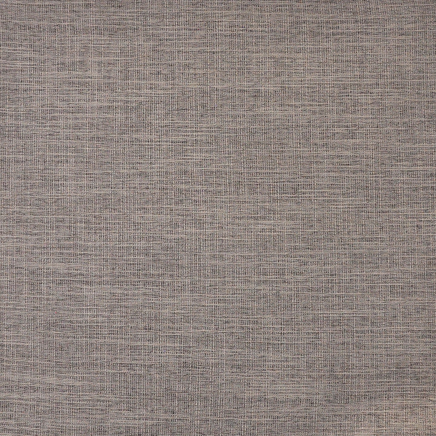 Purchase Maxwell Fabric - Daintree, # 528 Ash