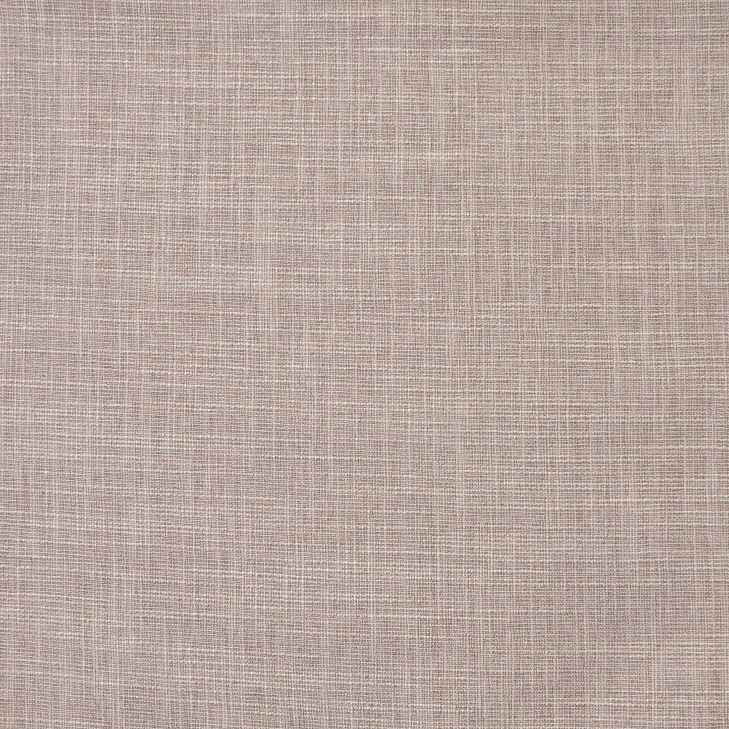 Daintree | # 550 Orchid - Maxwell Fabric