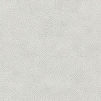 Purchase Edgy Shark.11.0 Edgy Shark, - Kravet Couture Fabric