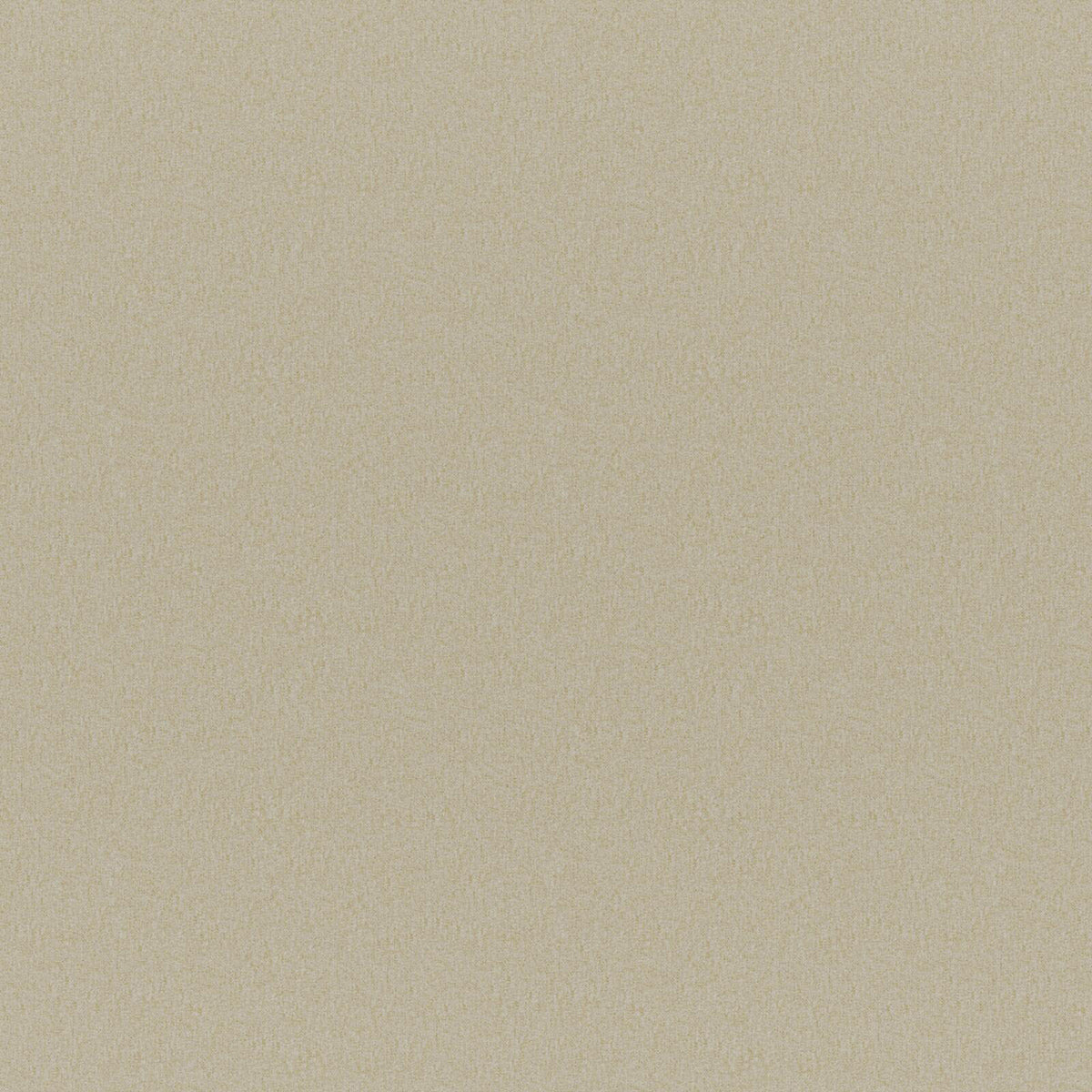 Ersa | # 312 Sponge - Maxwell Fabric