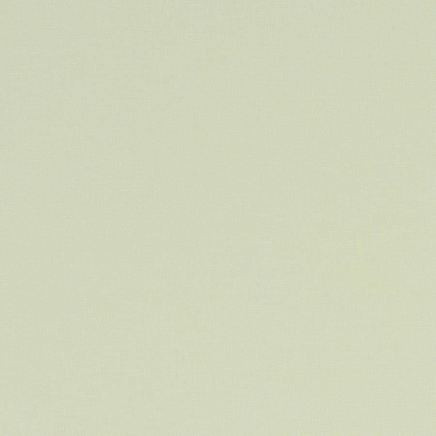 Sample F1097/05 Alora Solid Clarke And Clarke Fabric