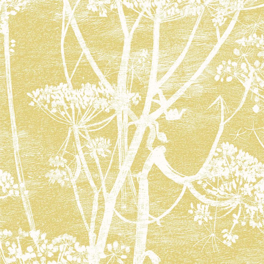 Purchase F111/5020 Cow Parsley, Cole and Son Contemporary Fabrics - Cole and Son Fabric - F111/5020.Cs.0