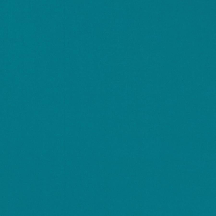 Sample F1294/48 Novara Solid Clarke And Clarke Fabric