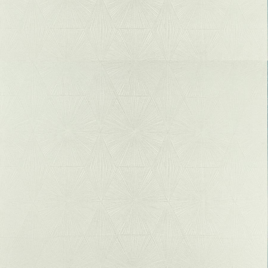 Sample F1456-05 Blaize Silver Geometric Clarke And Clarke Fabric