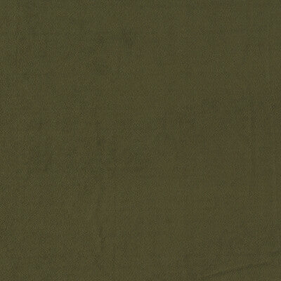 Sample -F1511/08 | Miami Chive Solid - Clarke And Clarke Fabric