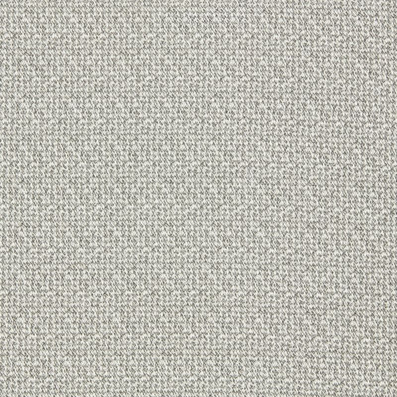Sample - F1569/06.Cac.0 | Malone, Clarke & Clarke Burlington - Clarke And Clarke Fabric