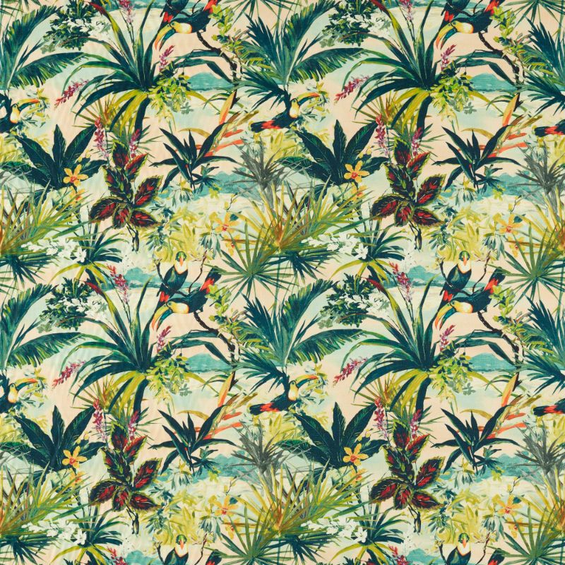 Sample - F1614/02.Cac.0 | Toucan, Clarke & Clarke Exotica 2 - Clarke And Clarke Fabric