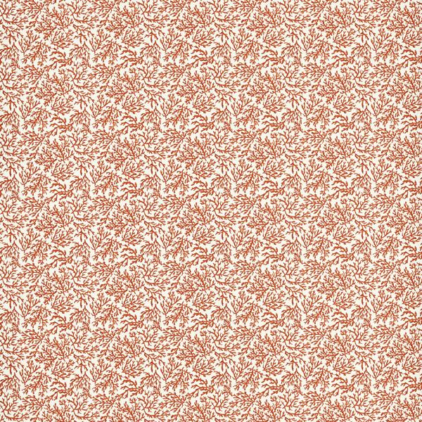 Purchase F1729/02.Cac.0 Seabed, Clarke & Clarke Marina - Clarke And Clarke Fabric