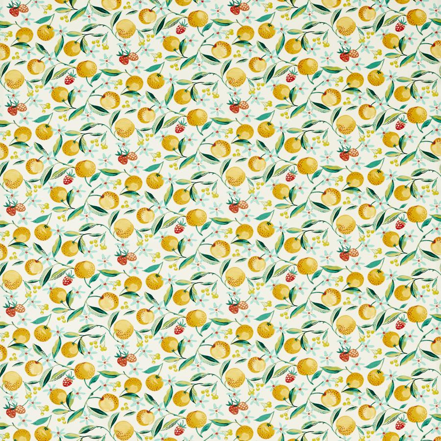 Purchase F1784/02.Cac.0 Orange Blossom, Montage Ii - Clarke And Clarke Fabric