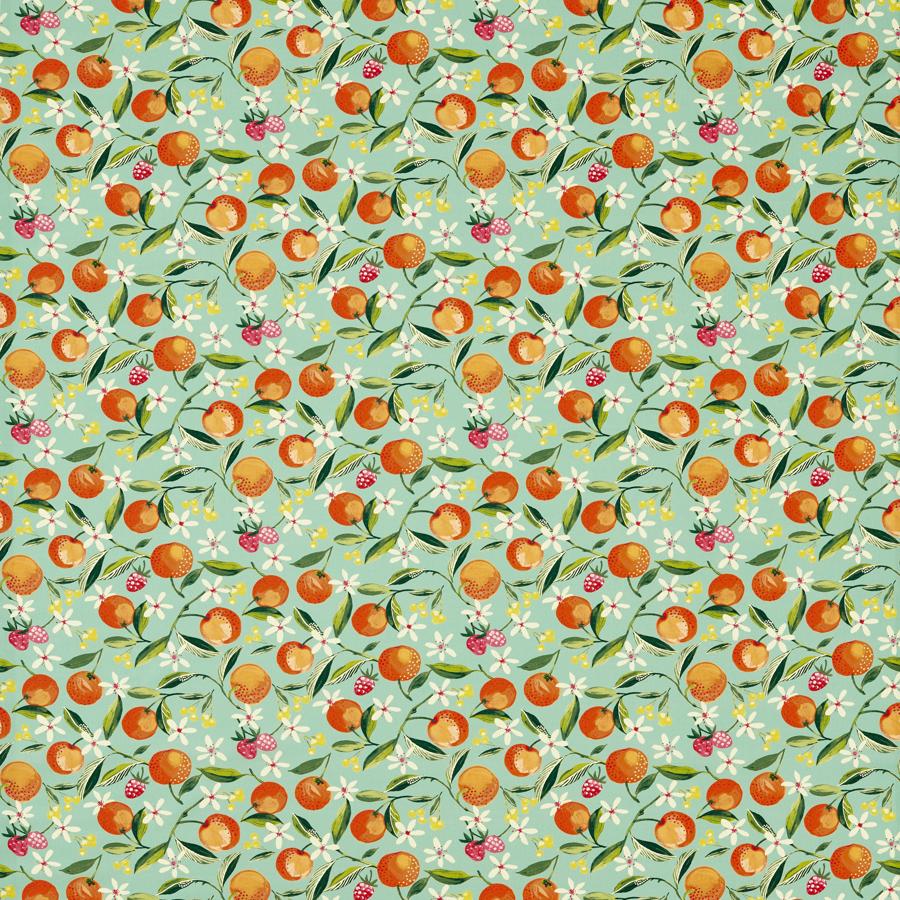 Purchase F1784/03.Cac.0 Orange Blossom, Montage Ii - Clarke And Clarke Fabric