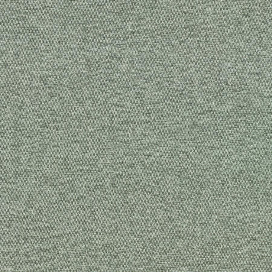 Purchase F1806/07.Cac.0 Jaipur, Celadon - Clarke And Clarke Fabric