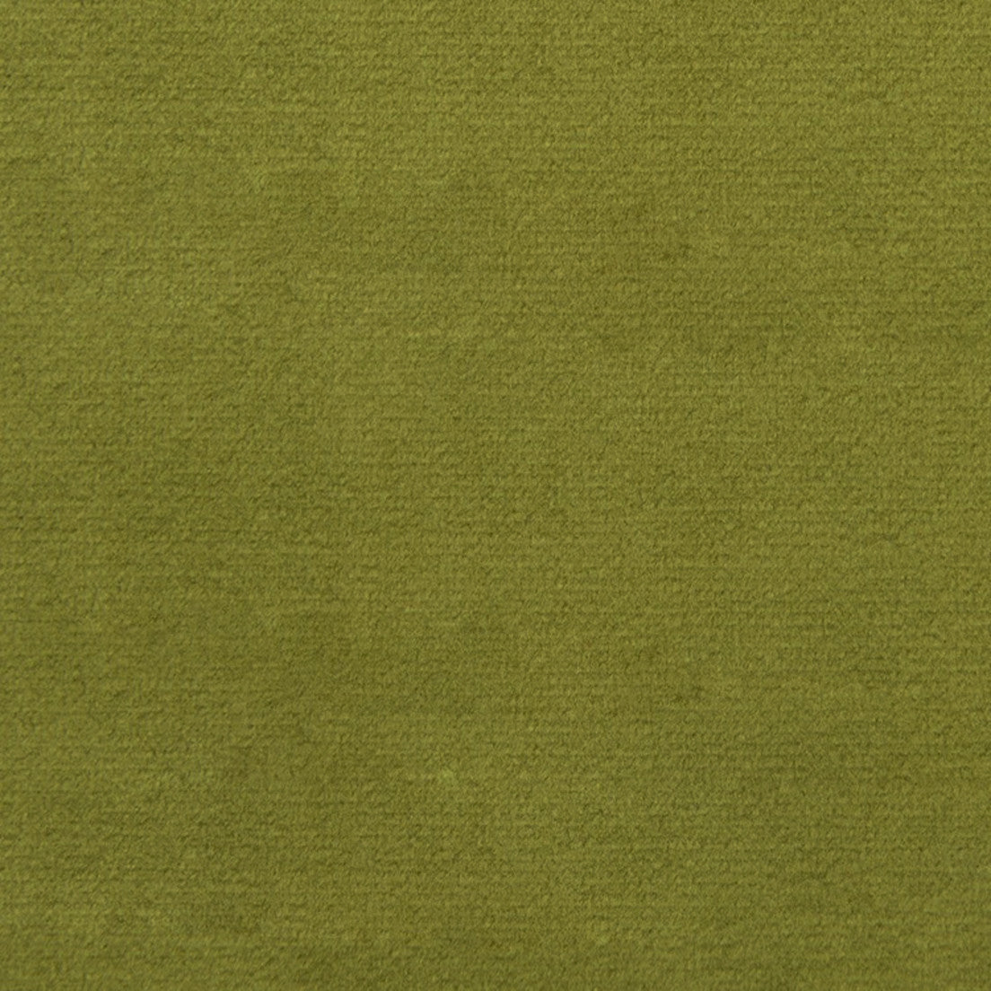 Purchase Greenhouse Fabric F1837 Fern