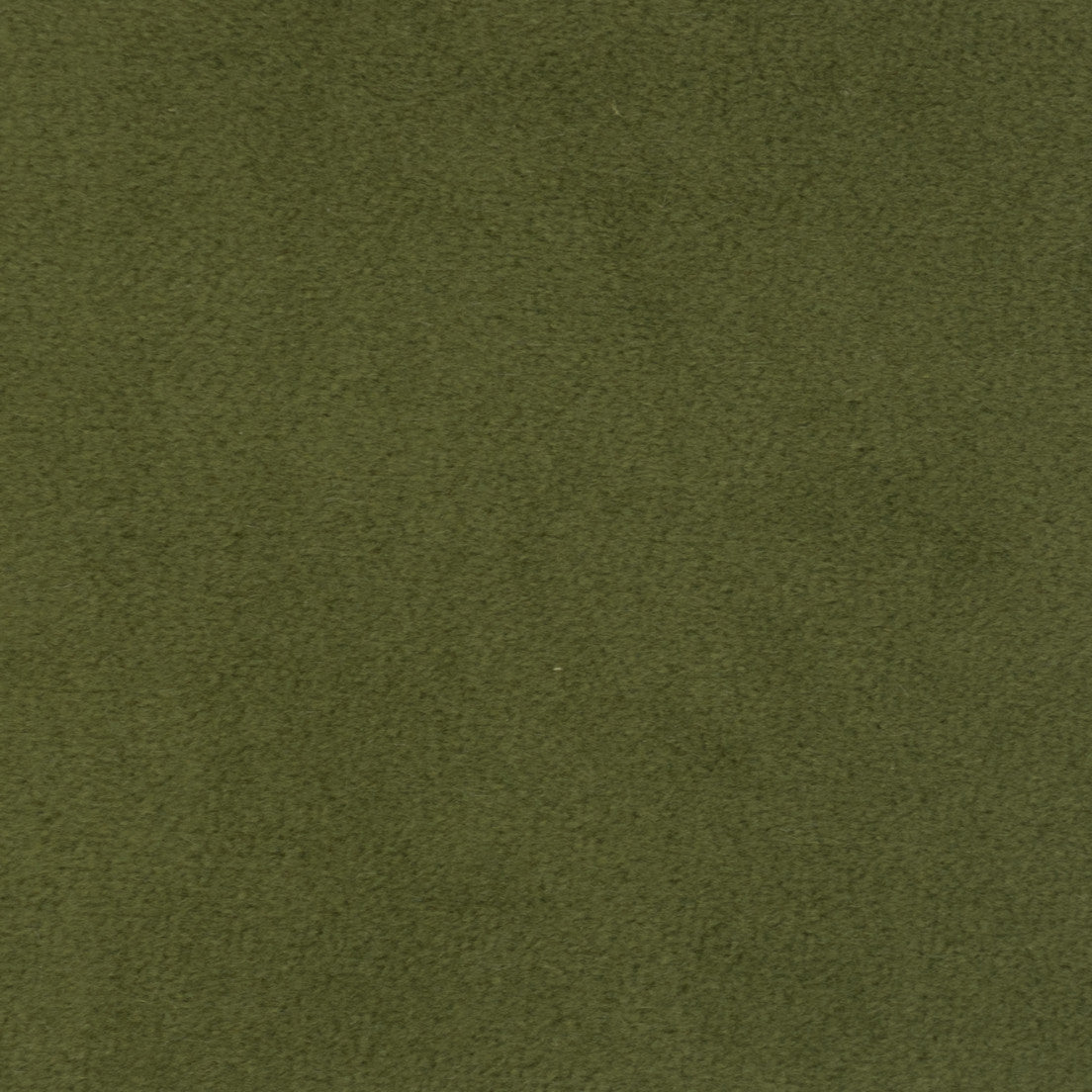 Purchase Greenhouse Fabric F1839 Moss