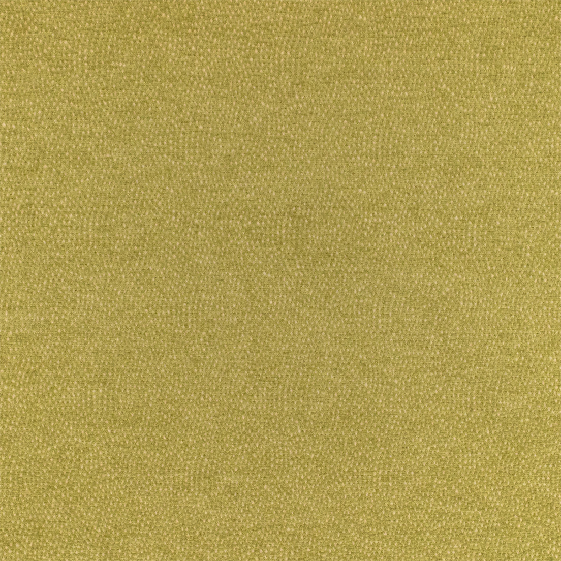 Purchase Greenhouse Fabric F4827 Celery