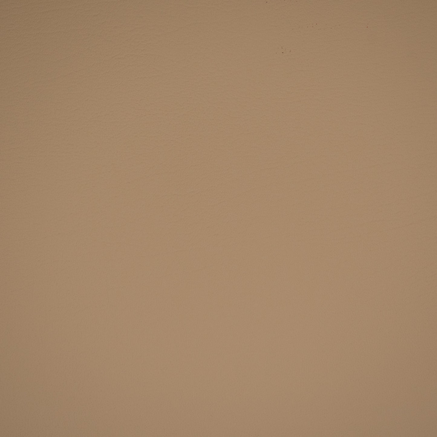 Purchase Greenhouse Fabric F4910 Natural