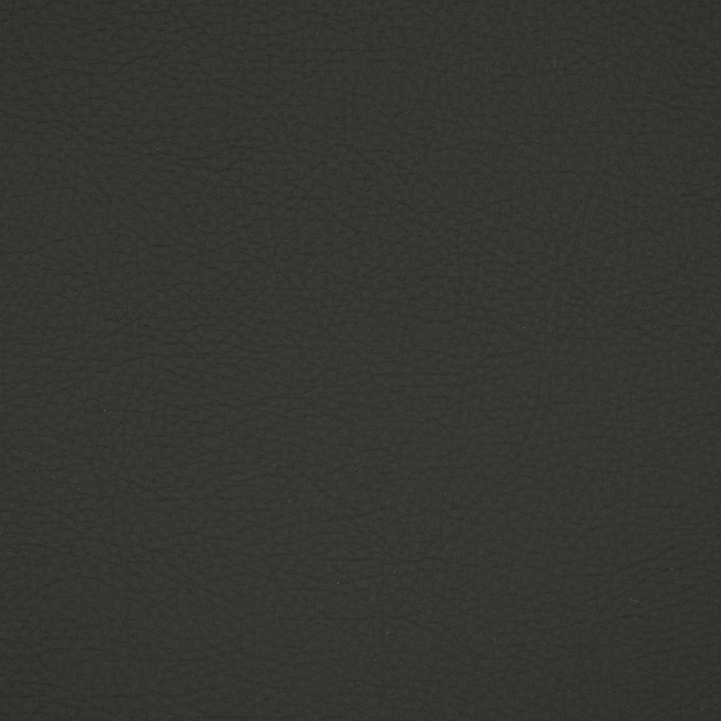 Purchase Greenhouse Fabric F4915 Charcoal