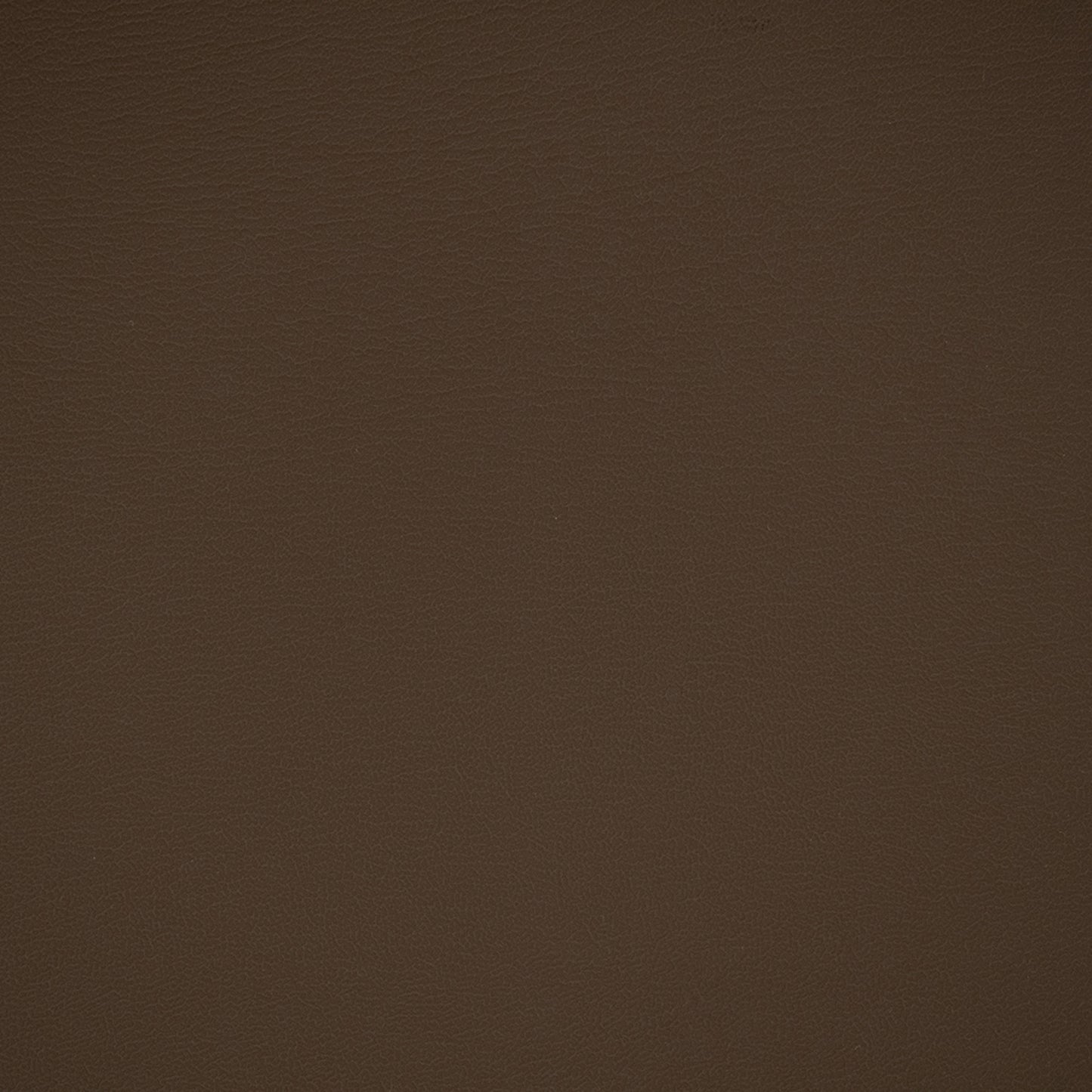 Purchase Greenhouse Fabric F4932 Fudge