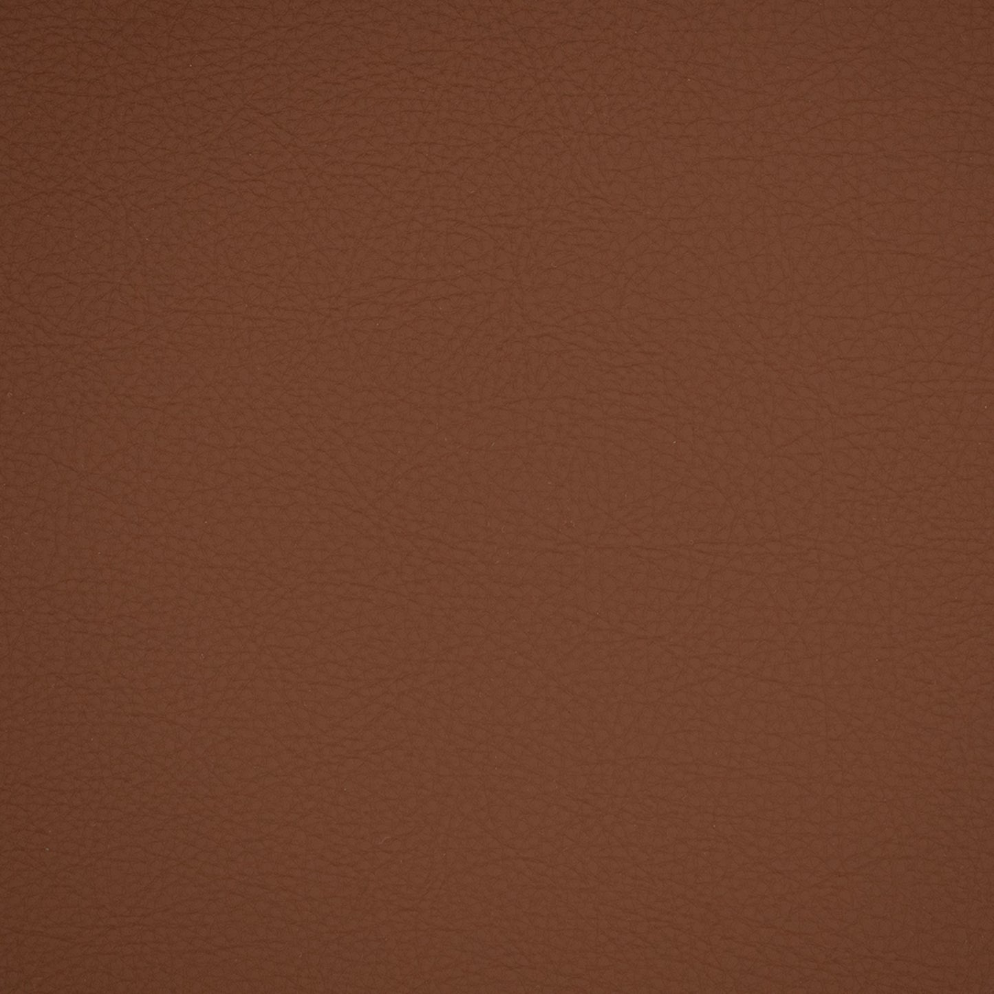 Purchase Greenhouse Fabric F4934 Equestrian