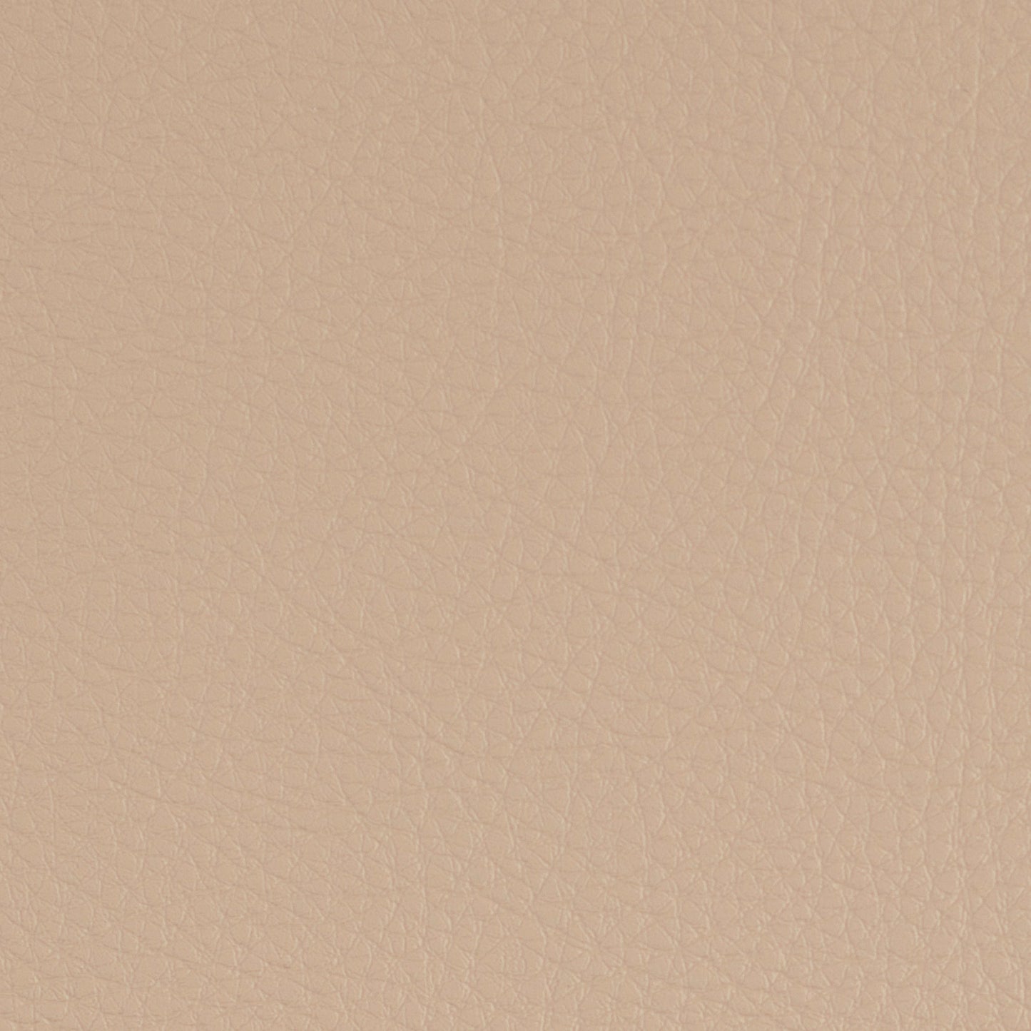 Purchase Greenhouse Fabric F4948 Latte