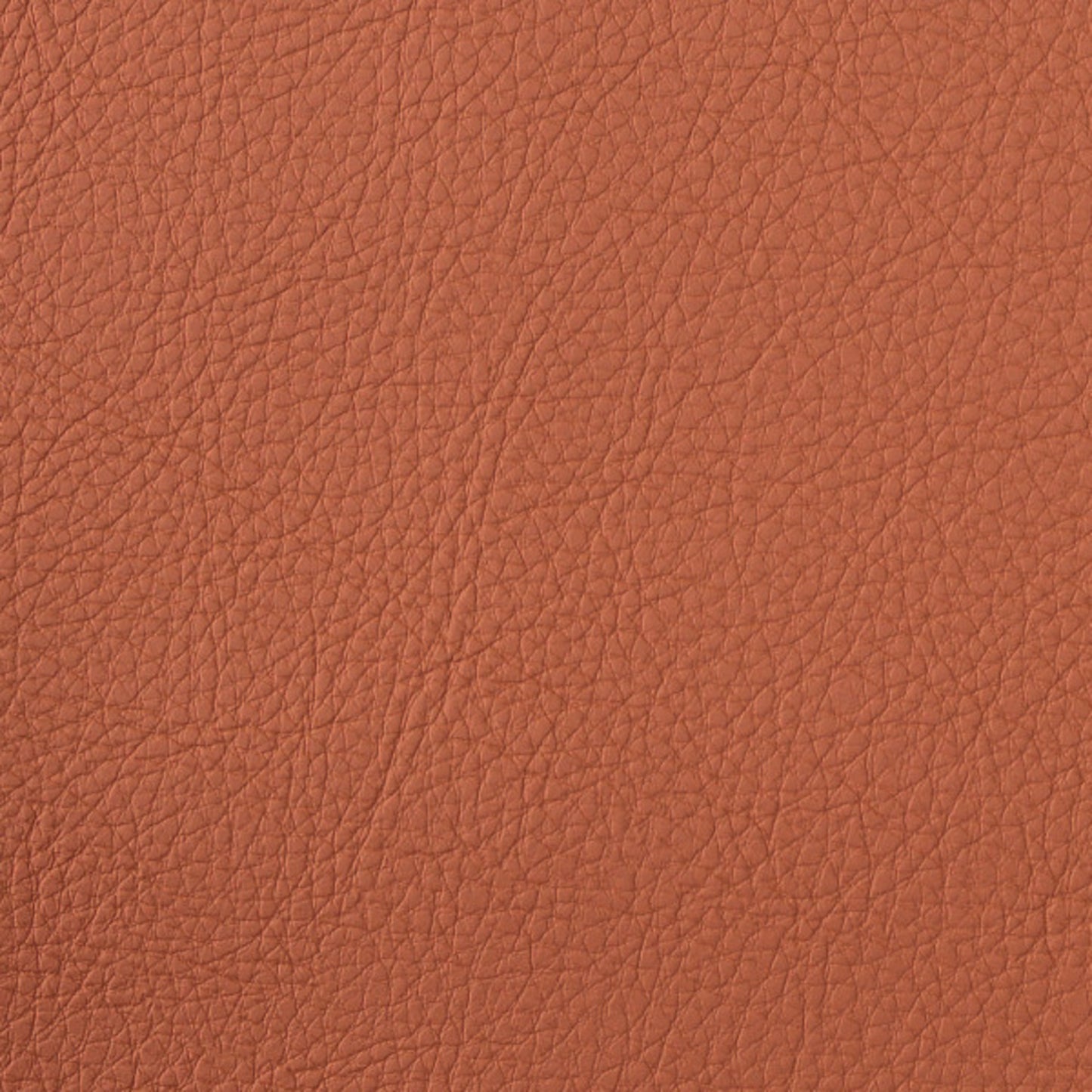 Purchase Greenhouse Fabric F4995 Persimmon