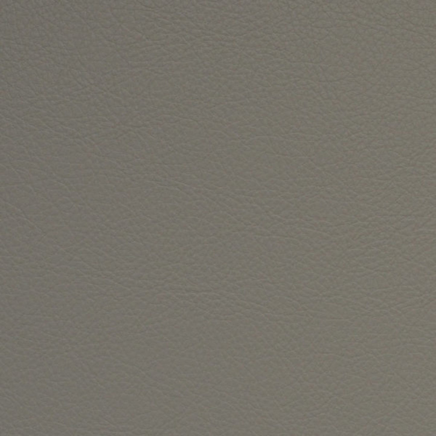 Purchase Greenhouse Fabric F5005 Horizon