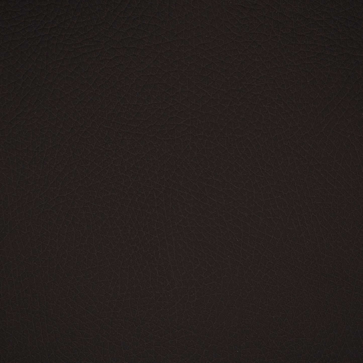 Purchase Greenhouse Fabric F5017 Midnight