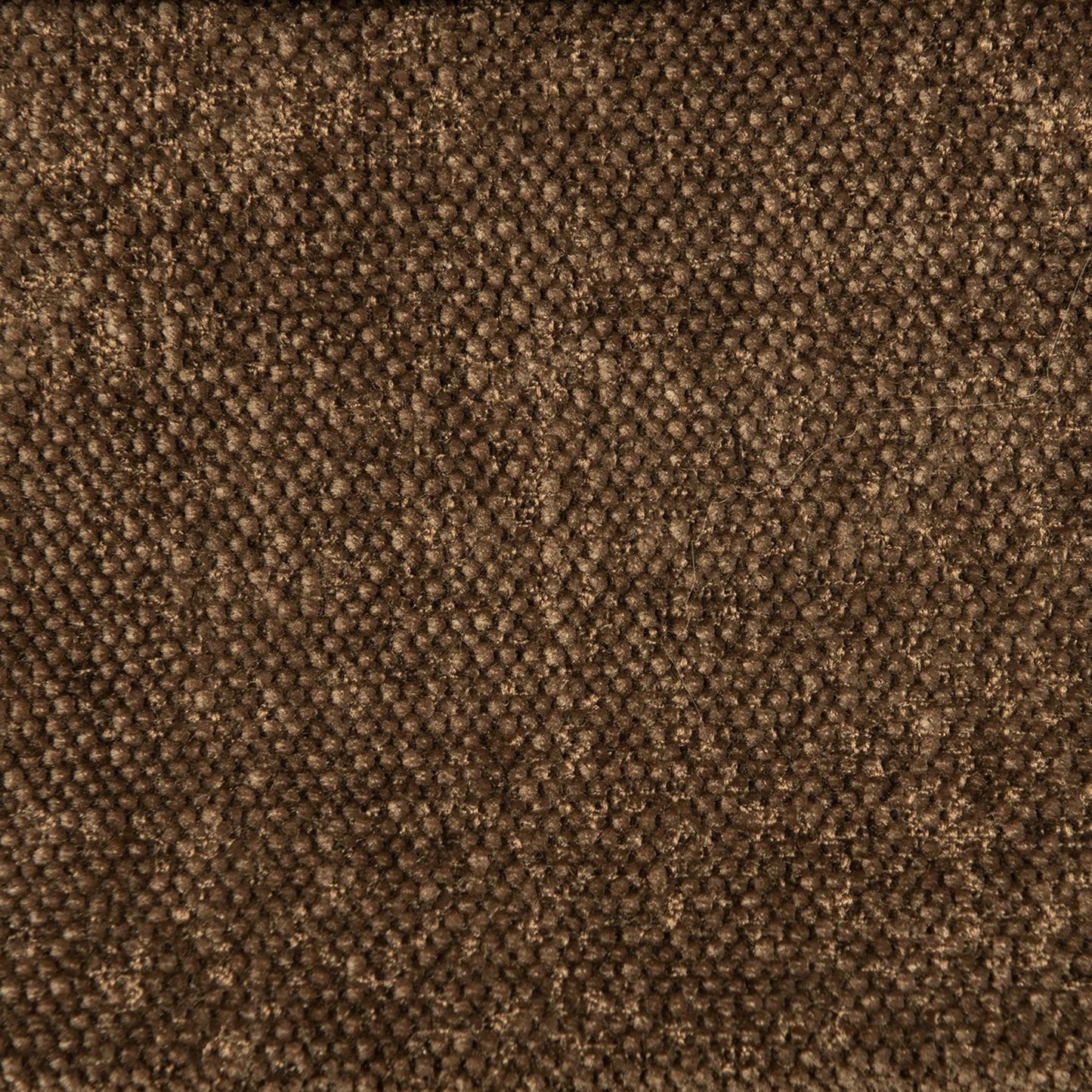 Purchase Greenhouse Fabric F5103 Carob