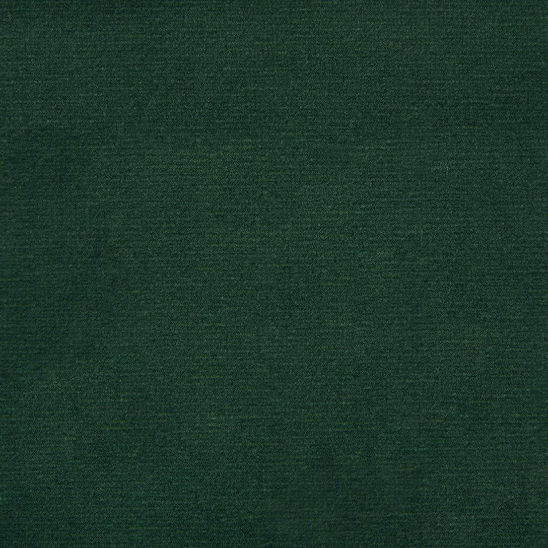 Purchase Greenhouse Fabric F5338 Hunter Green