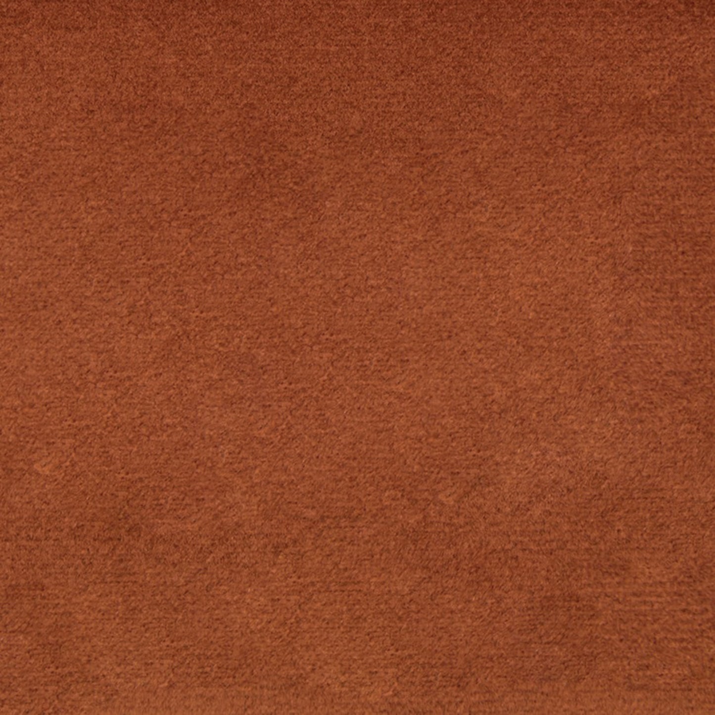 Purchase Greenhouse Fabric F5341 Cider