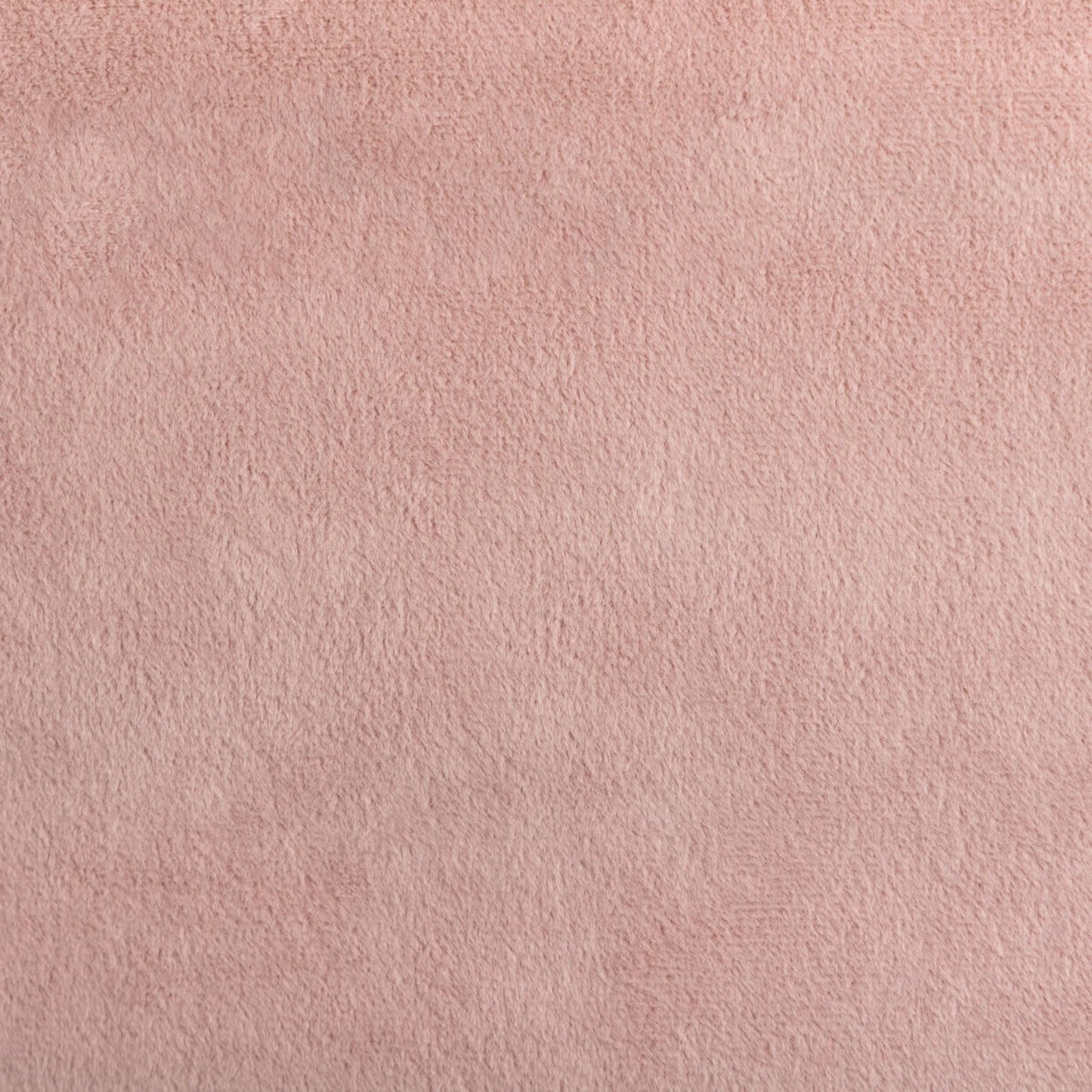 Purchase Greenhouse Fabric F5345 Bella