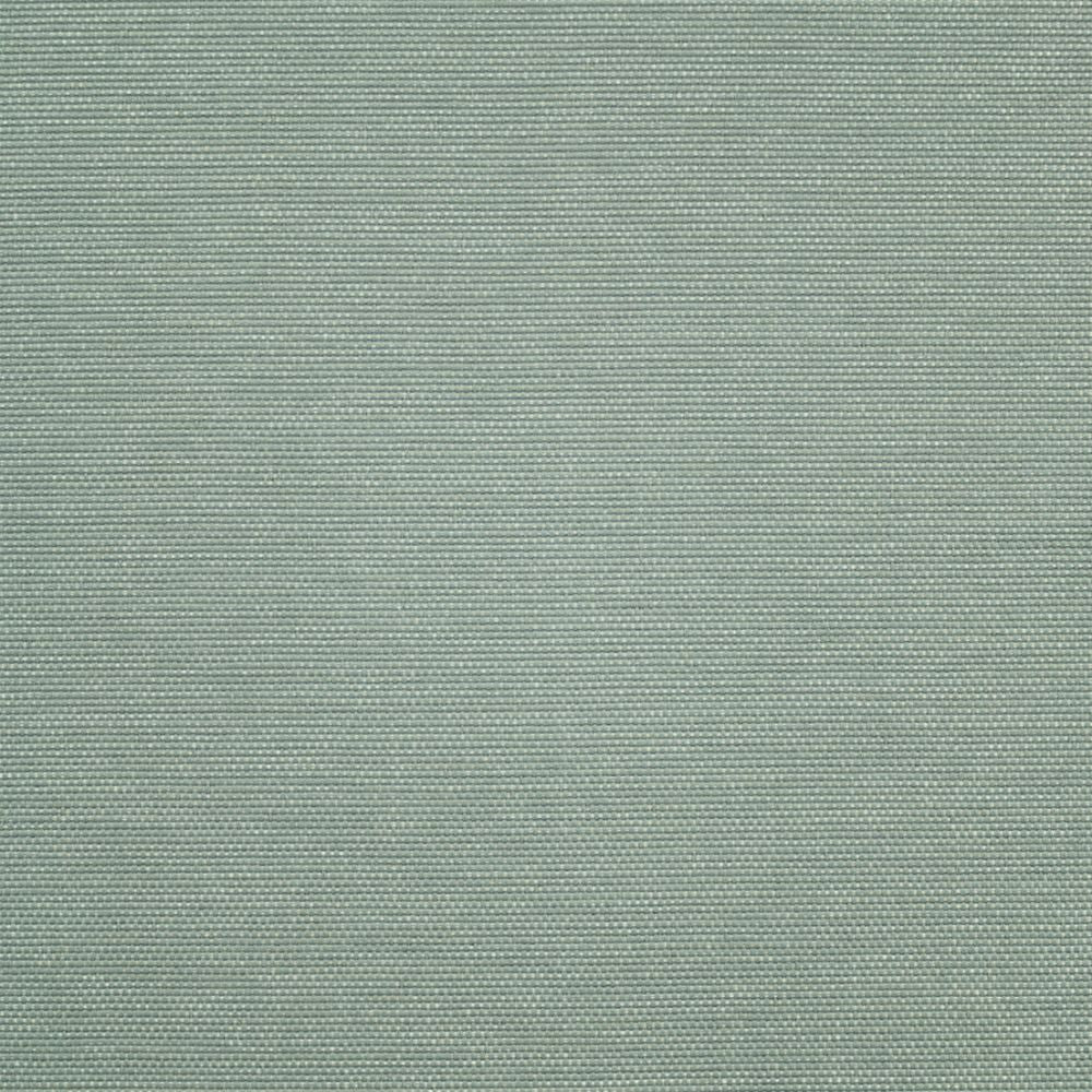 Purchase Greenhouse Fabric F5490 Glacier