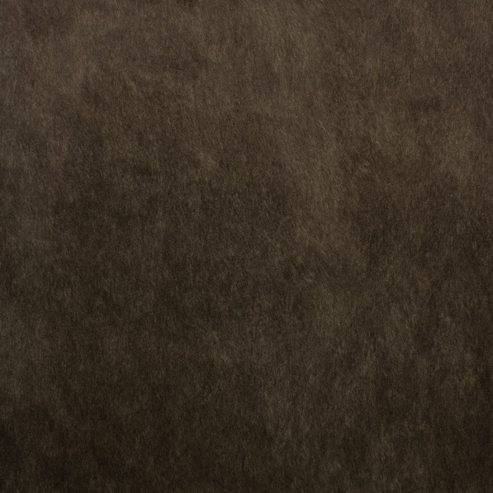 Purchase Greenhouse Fabric F5572 Espresso