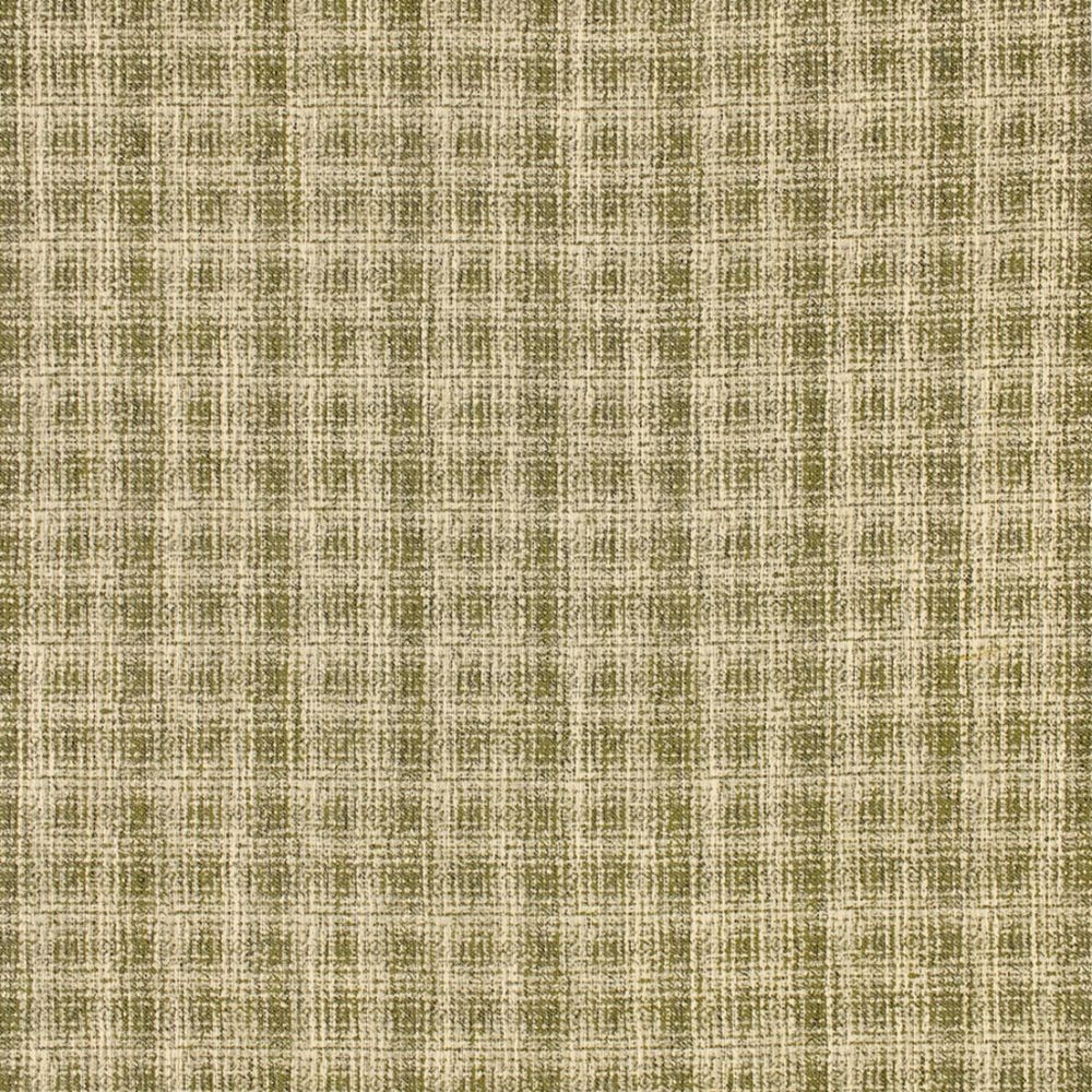 Purchase Greenhouse Fabric F5648 Bottle